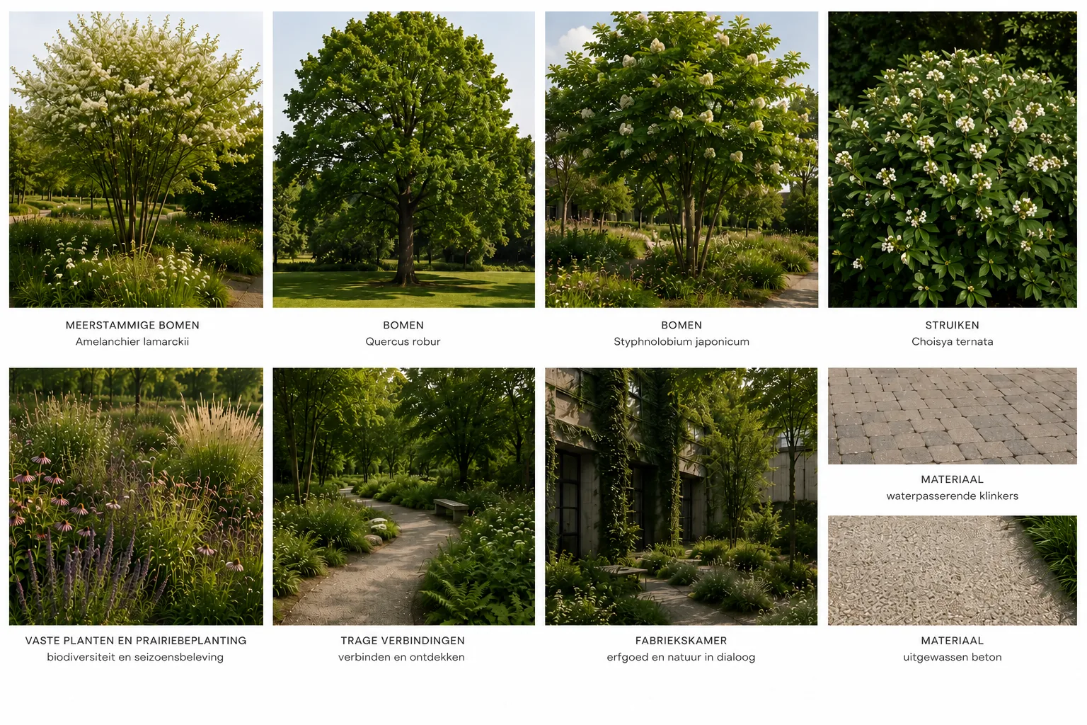 De Melkerij Haacht — moodboard beplanting en materialen 1