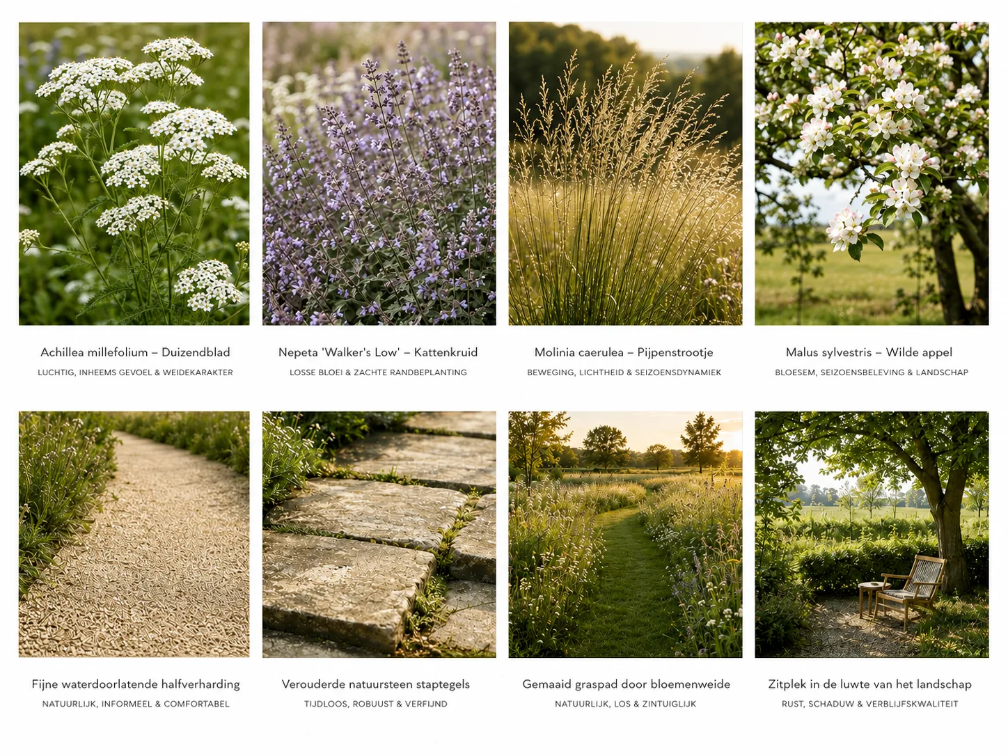 Draaiboom Pulderbos — moodboard beplanting en materialen 1