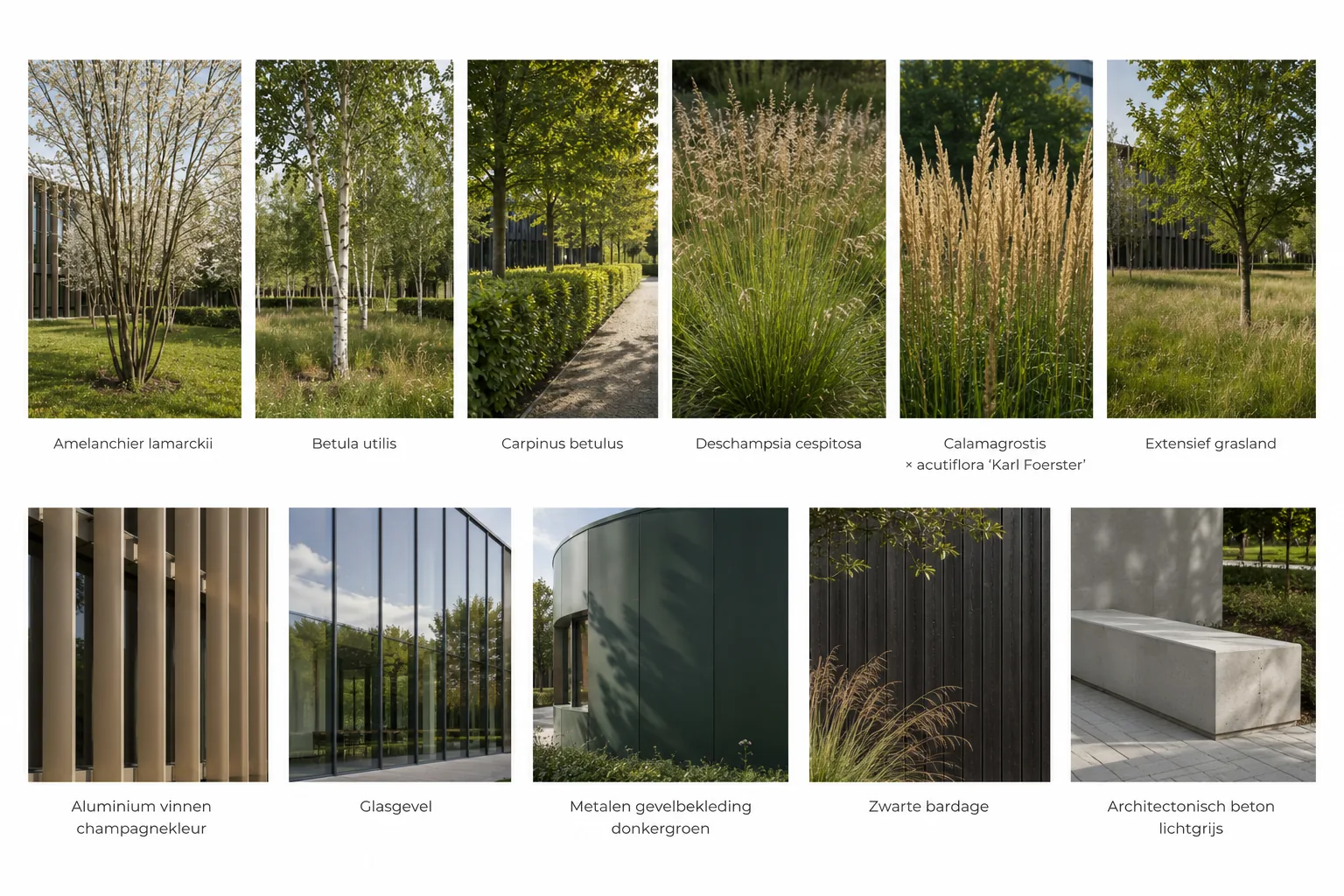 Van Genechten Turnhout — moodboard beplanting en materialen 1