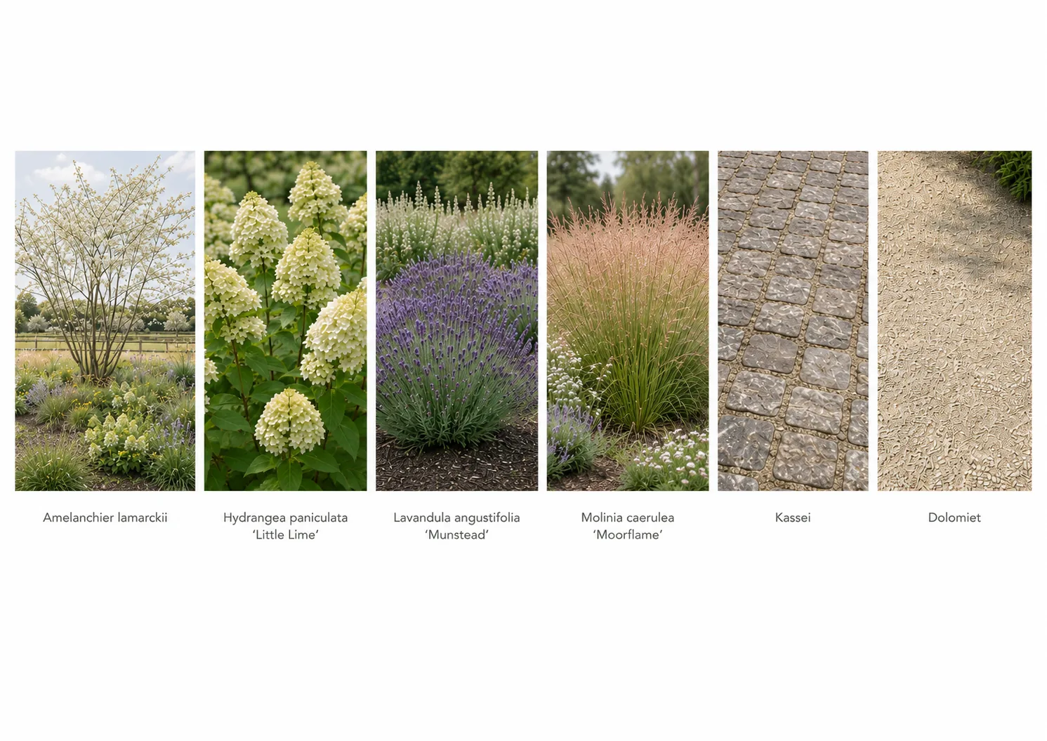 Hofeinde Zandhoven — moodboard beplanting en materialen 1