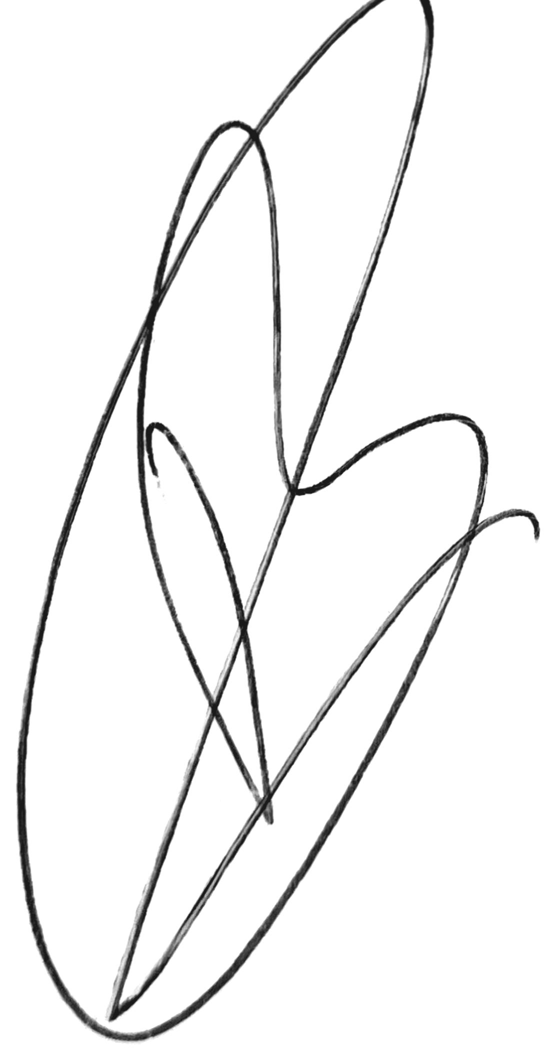 Handtekening van Bartel Van Riet